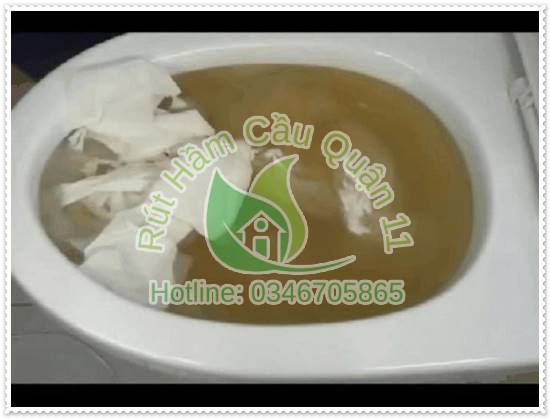 Giấy vệ sinh gây nghẹt có mùi hôi